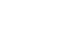 Development