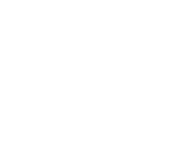 Launch & Scale